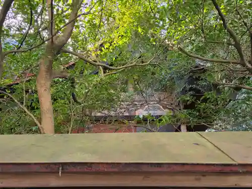 椋神社(埼玉県)