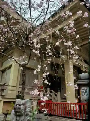 矢先稲荷神社(東京都)