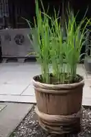 ときわ台天祖神社のその他建物