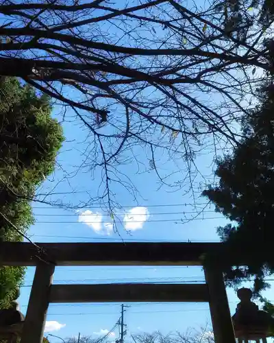 秋葉神社の鳥居