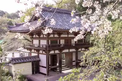 岡寺(龍蓋寺)(奈良県)