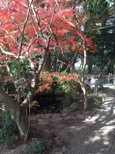 竹神社の自然