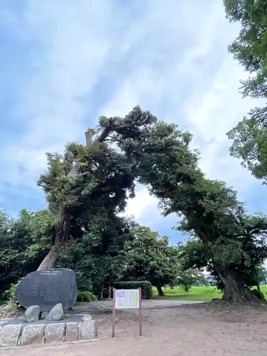 国分寺(千葉県)