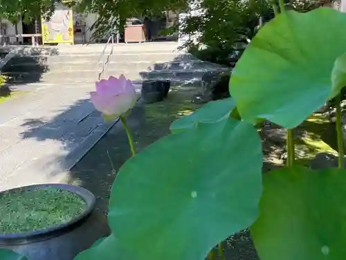 伊勢の国 四天王寺の自然