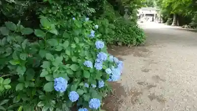 水戸八幡宮のその他建物