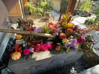 勝林寺(京都府)