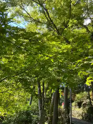 比叡山延暦寺(滋賀県)