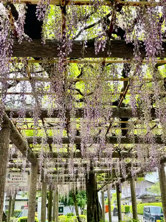 日吉神社(東京都)