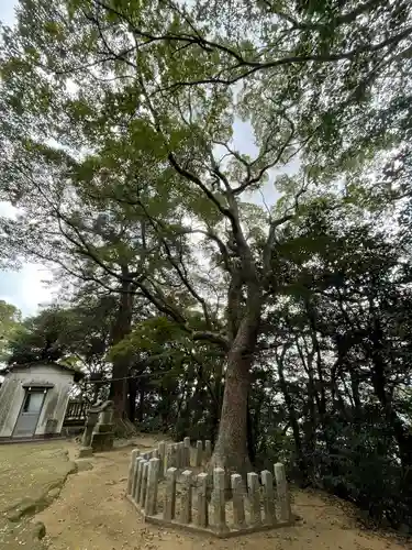 月瀬八幡宮の自然