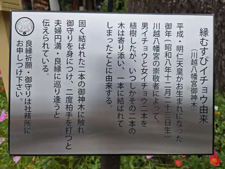 川越八幡宮(埼玉県)