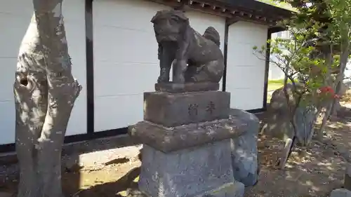 白老八幡神社の狛犬