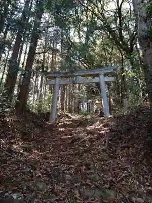 津島神社(愛知県)