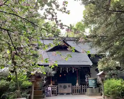 ときわ台天祖神社の本殿・本堂