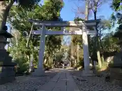 代々木八幡宮の鳥居