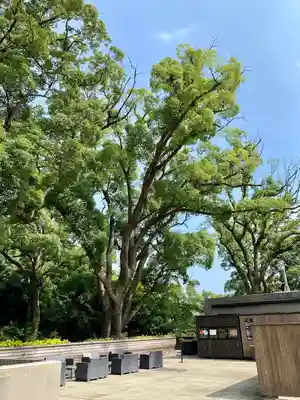 來宮神社(静岡県)