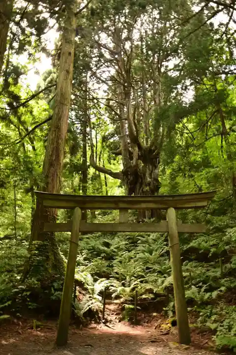 白島神社(島根県)