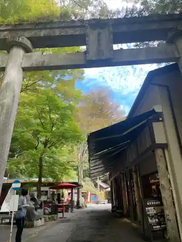 金櫻神社(山梨県)