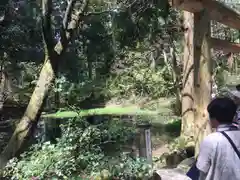 平泉寺白山神社の建物その他