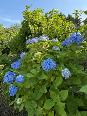 本興寺(石川県)