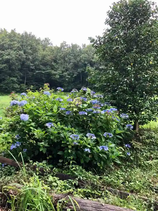 糀谷八幡宮の自然