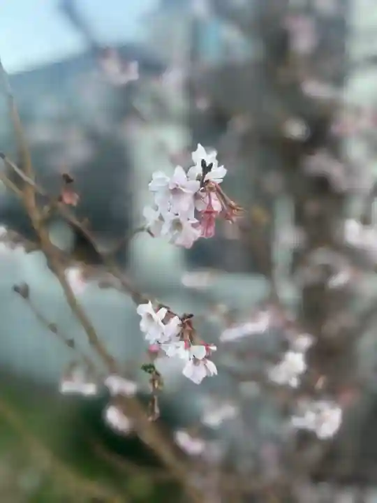 産土神社(大阪府)