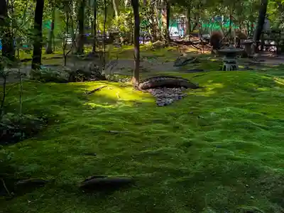 野宮神社(京都府)