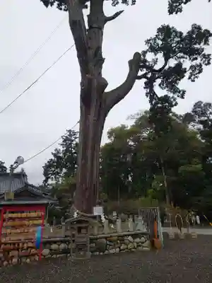 矢奈比賣神社（見付天神）(静岡県)