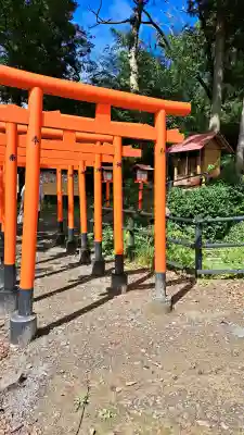 西坂ねこ稲荷神社の{uncategorized: "未分類", other: "その他", undefined: "問題あり", building: "その他建物", grave: "お墓", sacred_gate: "鳥居", guardian: "狛犬", statue: "像", buddha: "仏像", history: "歴史", nature: "自然", garden: "庭園", animal: "動物", pagoda: "塔", temizu: "手水舎", mountain_gate: "山門・神門", sanctuary: "本殿・本堂", subordinate: "末社・摂社", art: "芸術", scenery: "景色", jizo: "地蔵", ema: "絵馬", goshuin: "御朱印", omikuji: "おみくじ", items: "授与品その他", amulet: "お守り", goshuincho: "御朱印帳", eats: "食事", festival: "お祭り", votive_dance: "神楽", shichigosan: "七五三参", wedding: "結婚式", experience: "体験その他", initially: "初詣", around: "周辺", anti_infection: "感染症対策"}