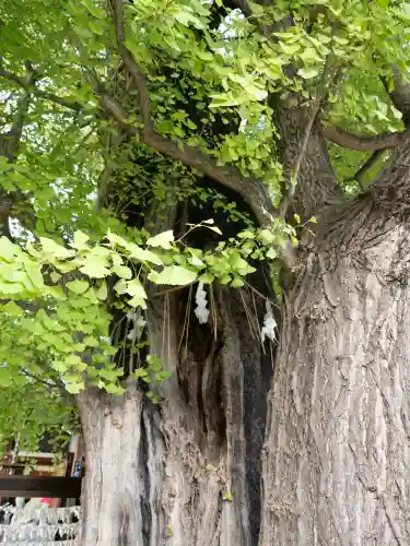 飛木稲荷神社(東京都)