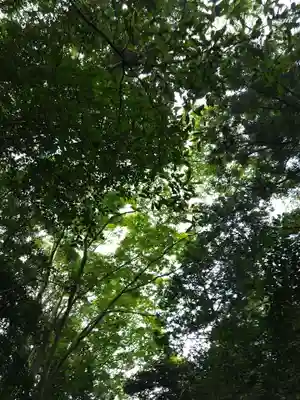 伊勢神宮外宮（豊受大神宮）(三重県)