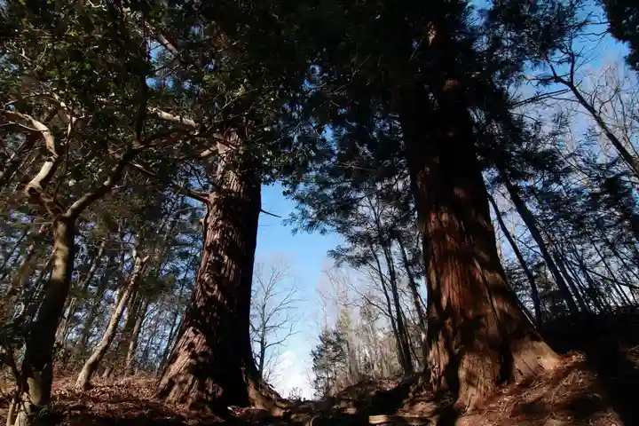 多賀神社の自然