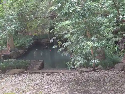 武蔵一宮氷川神社の庭園