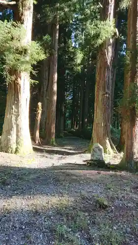 八海神社の自然
