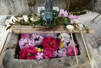 金刀比羅神社(奈良県)