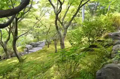 東福禅寺(東福寺)(京都府)