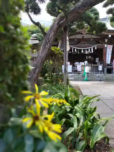 鳩森八幡神社のその他建物