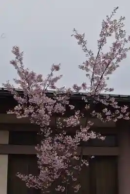 豊国神社の自然