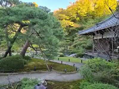 青蓮院門跡(京都府)