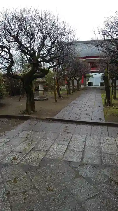 如意輪寺の山門・神門
