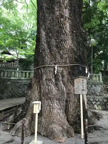 五所神社(神奈川県)