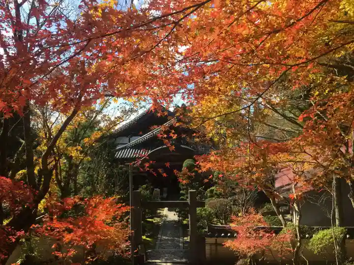 播州清水寺の自然