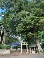 八幡大神(千葉県)