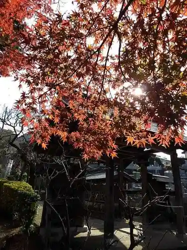 地蔵院の山門