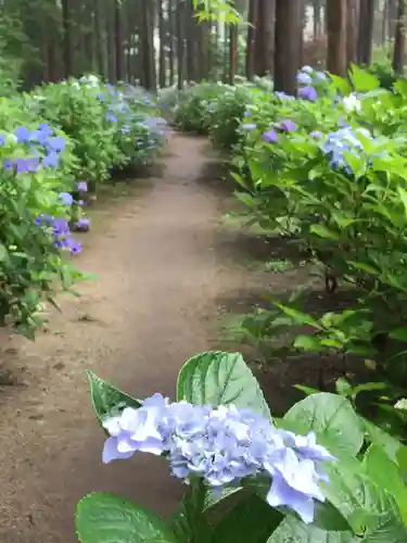 日本寺の庭園