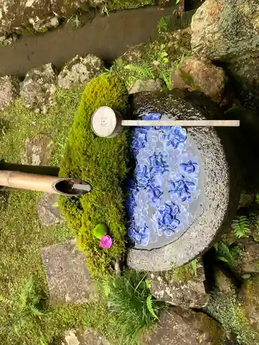 柳谷観音　楊谷寺のその他建物