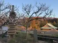 龍隠庵の{uncategorized: "未分類", other: "その他", undefined: "問題あり", building: "その他建物", grave: "お墓", sacred_gate: "鳥居", guardian: "狛犬", statue: "像", buddha: "仏像", history: "歴史", nature: "自然", garden: "庭園", animal: "動物", pagoda: "塔", temizu: "手水舎", mountain_gate: "山門・神門", sanctuary: "本殿・本堂", subordinate: "末社・摂社", art: "芸術", scenery: "景色", jizo: "地蔵", ema: "絵馬", goshuin: "御朱印", omikuji: "おみくじ", items: "授与品その他", amulet: "お守り", goshuincho: "御朱印帳", eats: "食事", festival: "お祭り", votive_dance: "神楽", shichigosan: "七五三参", wedding: "結婚式", experience: "体験その他", initially: "初詣", around: "周辺", anti_infection: "感染症対策"}