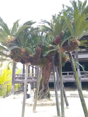 豊国神社 の自然
