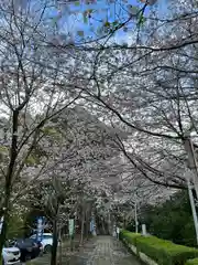 豊葦原神社(熊本県)