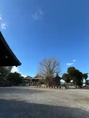 葛飾八幡宮(千葉県)