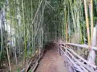 高木稲荷の自然